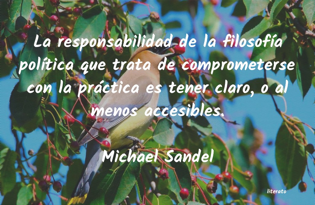 frases de Michael Sandel