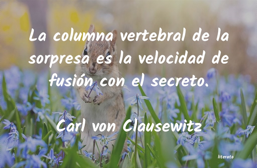 Frases de Carl von Clausewitz