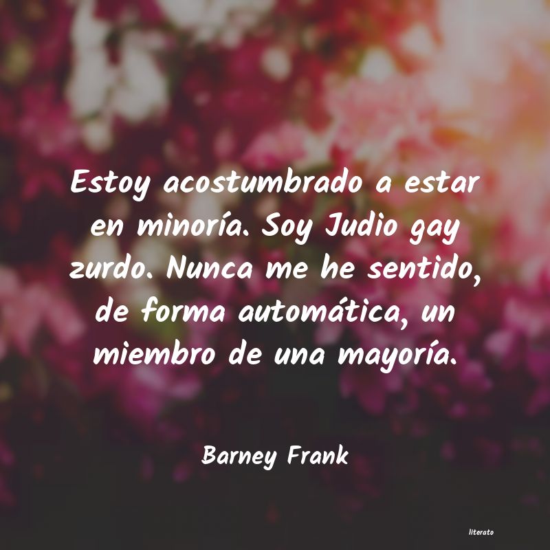 Frases de Barney Frank