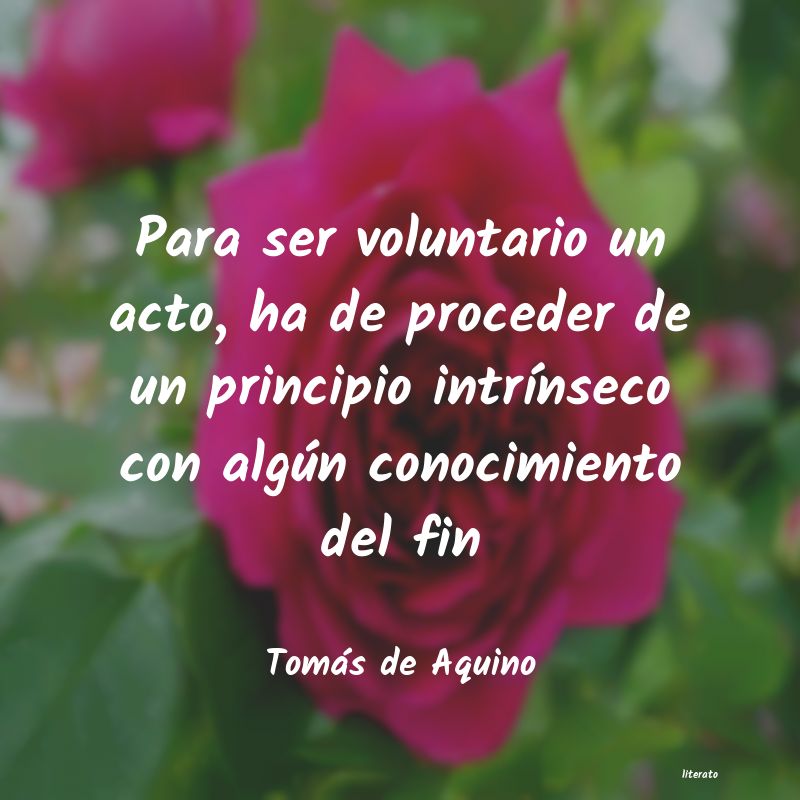 frases de Tomás de Aquino