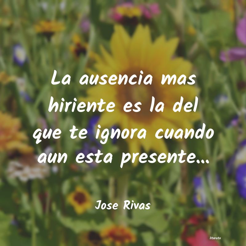 frases de Jose Rivas