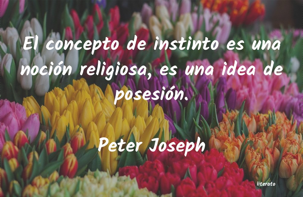 Frases de Peter Joseph