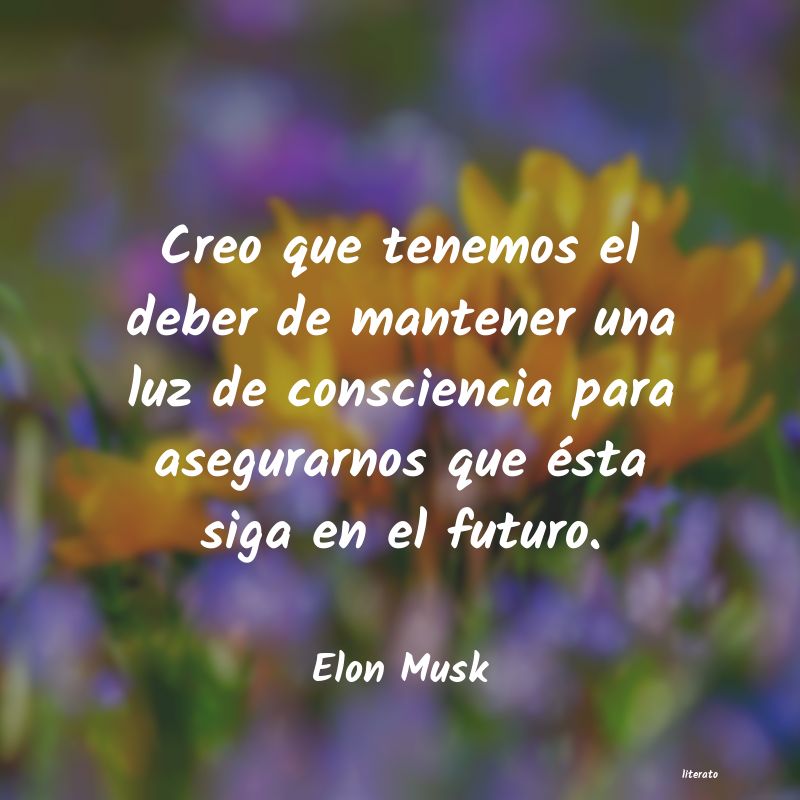 Frases de Elon Musk