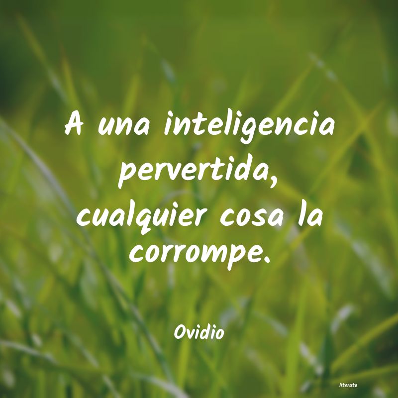 frases de Ovidio