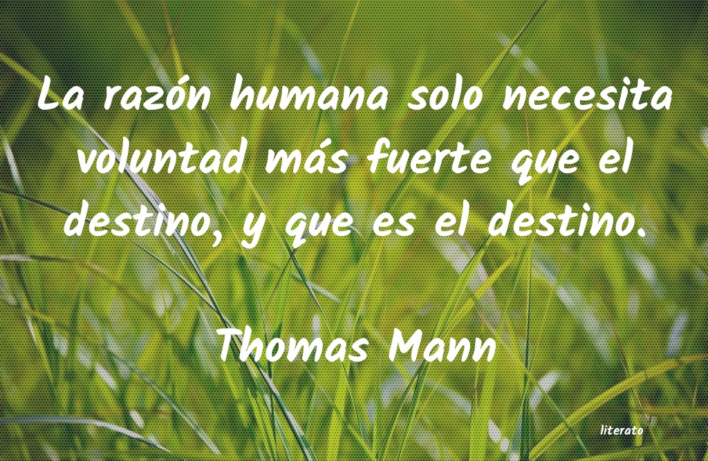 Frases de Thomas Mann