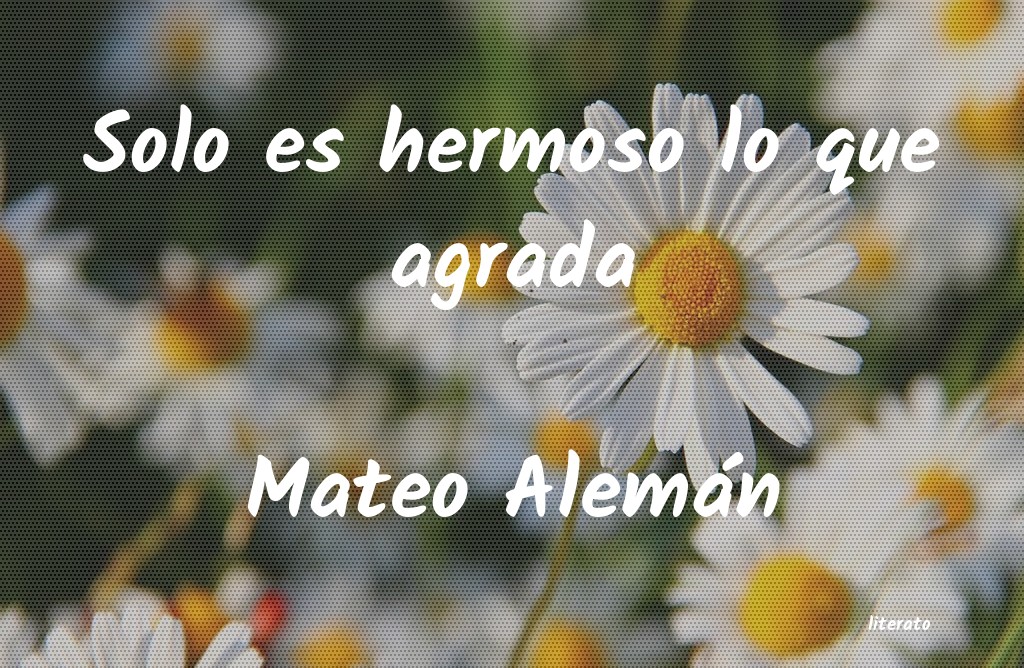 Frases de Mateo Alemán