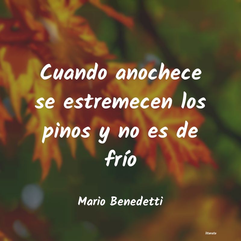 frases de Mario Benedetti