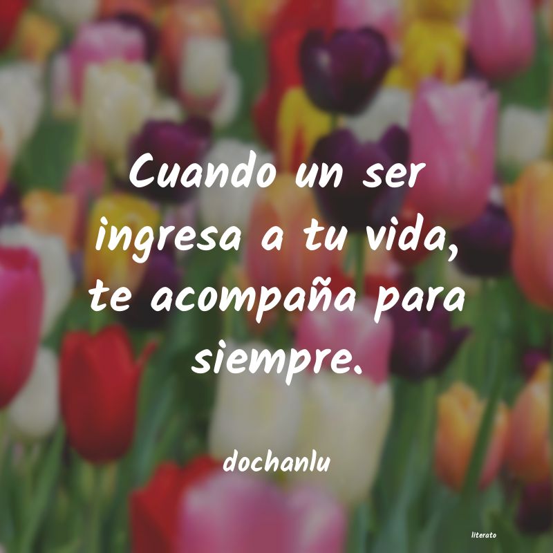 frases de dochanlu