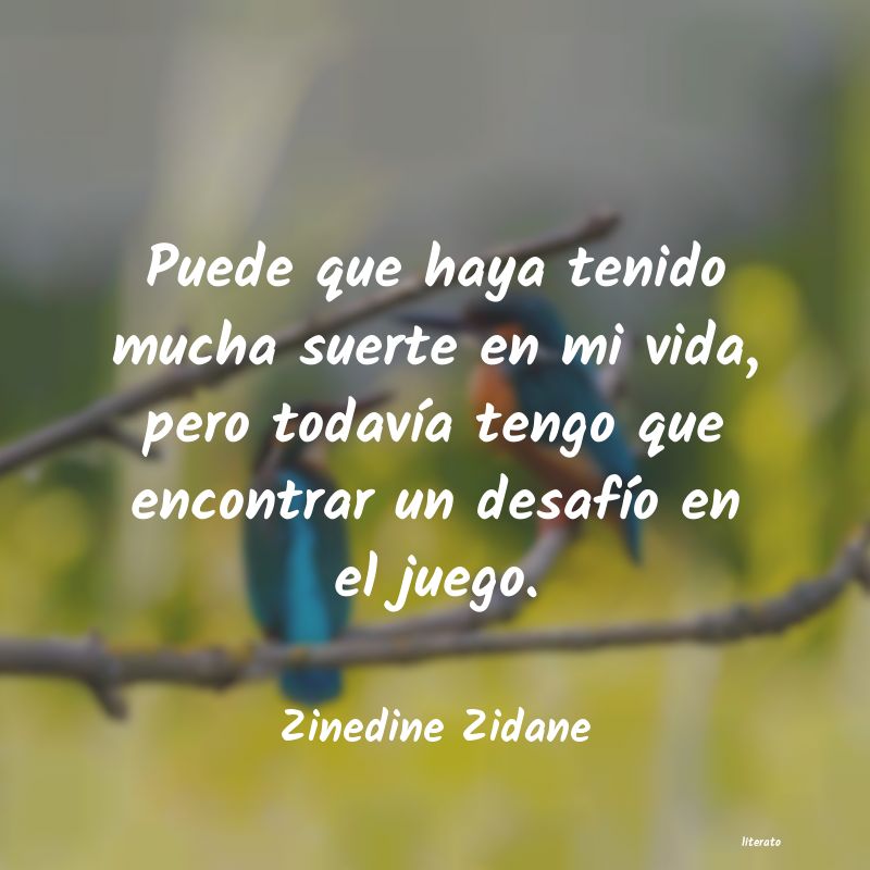 frases de Zinedine Zidane