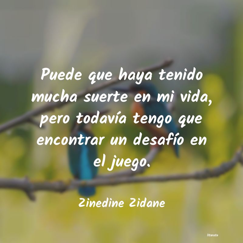 Frases de Zinedine Zidane