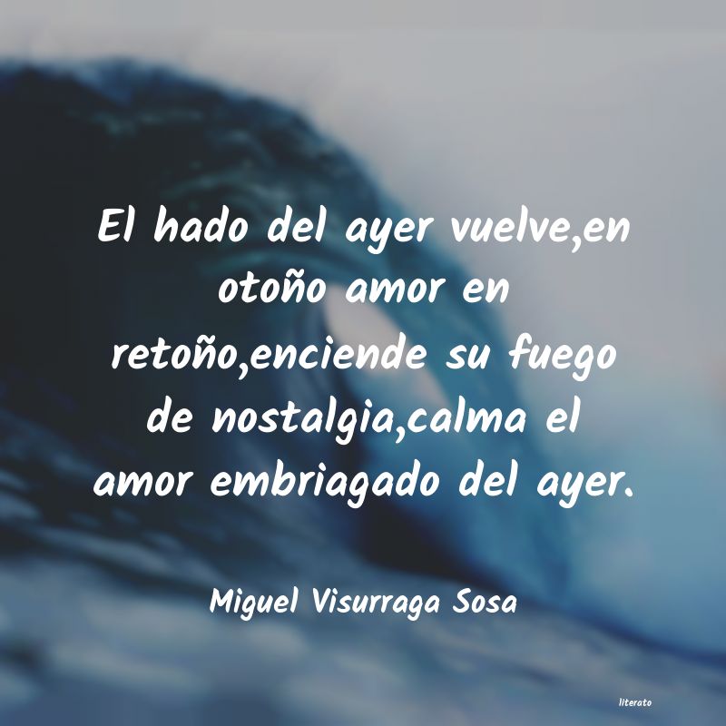 frases de Miguel Visurraga Sosa