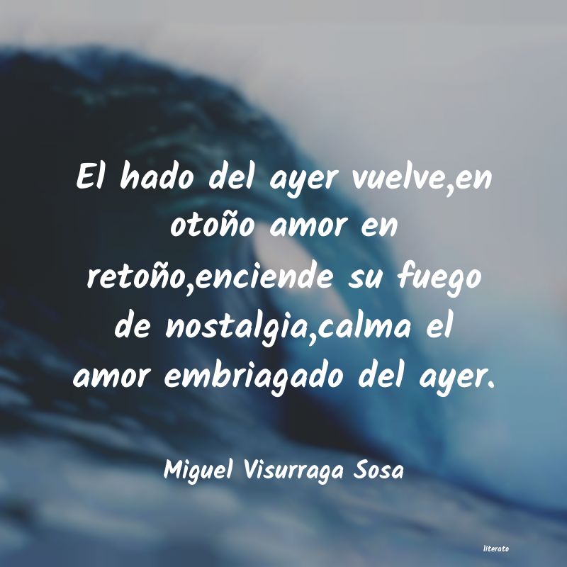 Frases de Miguel Visurraga Sosa