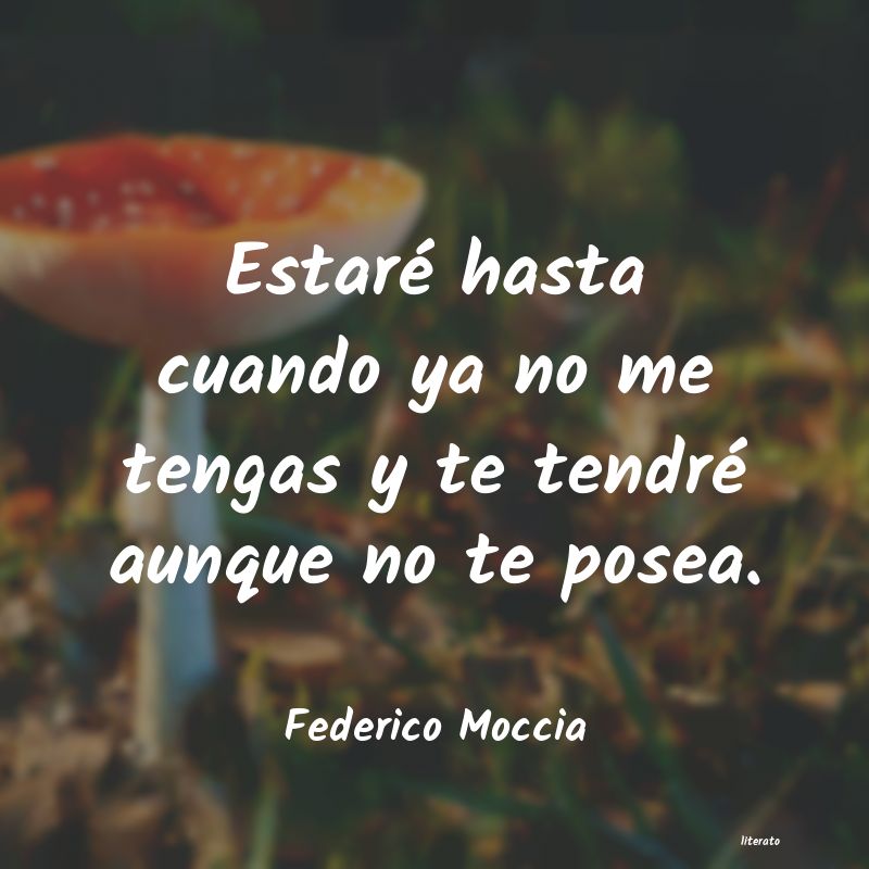 frases de Federico Moccia
