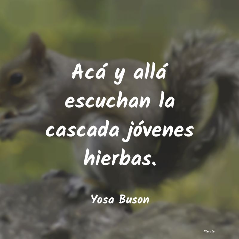 frases de Yosa Buson