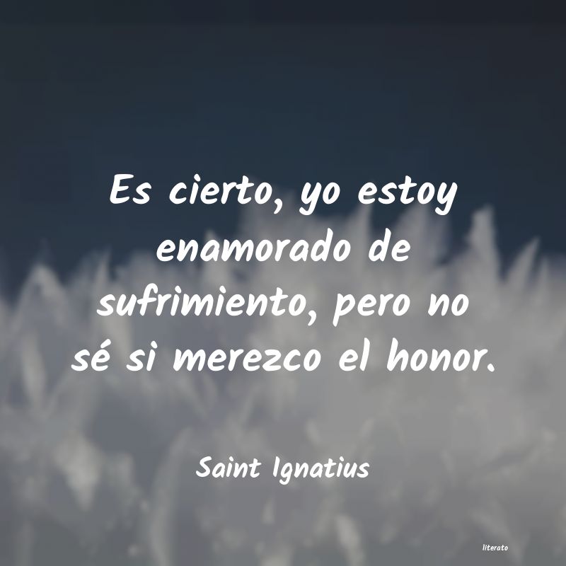 frases de Saint Ignatius
