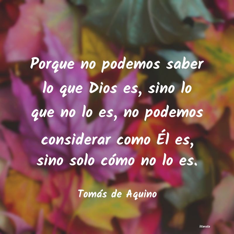 Frases de Tomás de Aquino