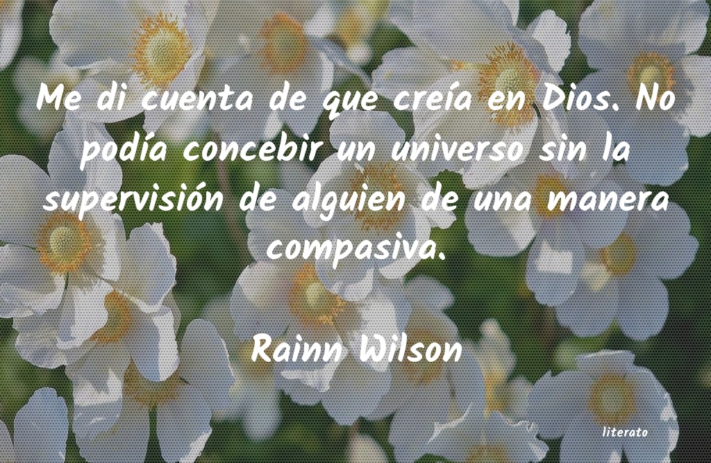 Frases de Rainn Wilson