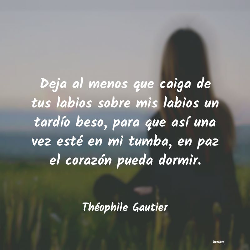 Frases de Théophile Gautier