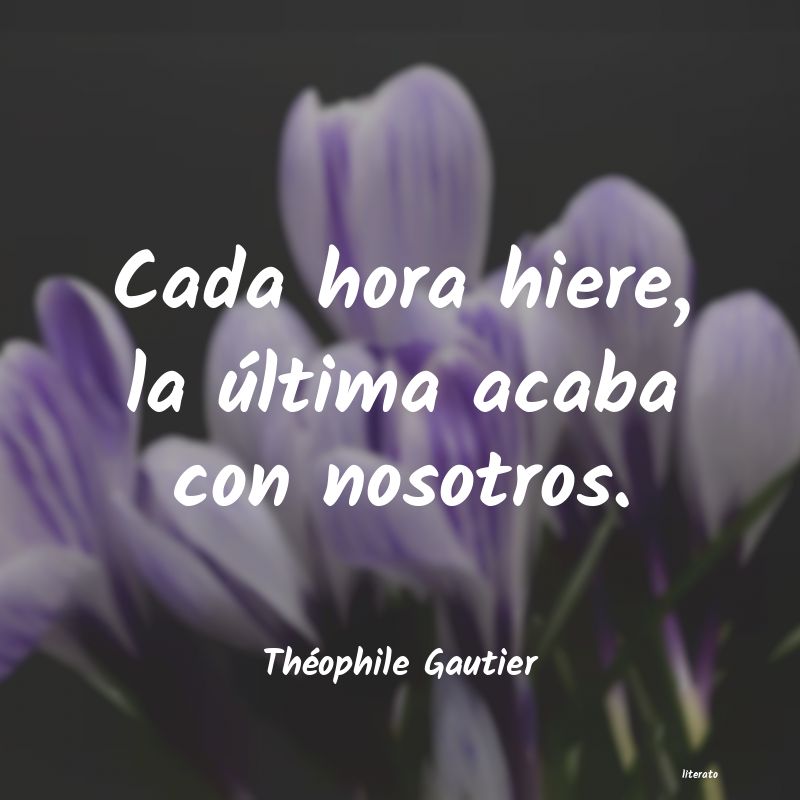 Frases de Théophile Gautier