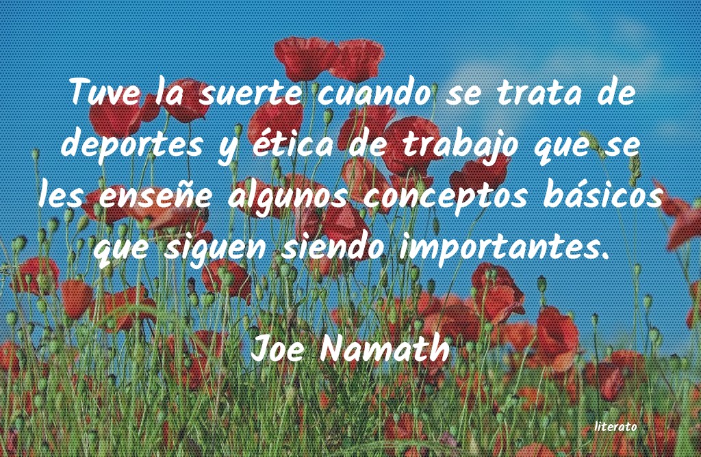 Frases de Joe Namath