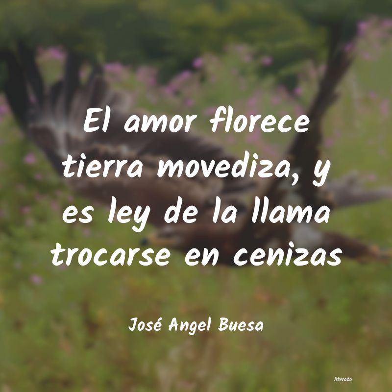 frases de José Angel Buesa