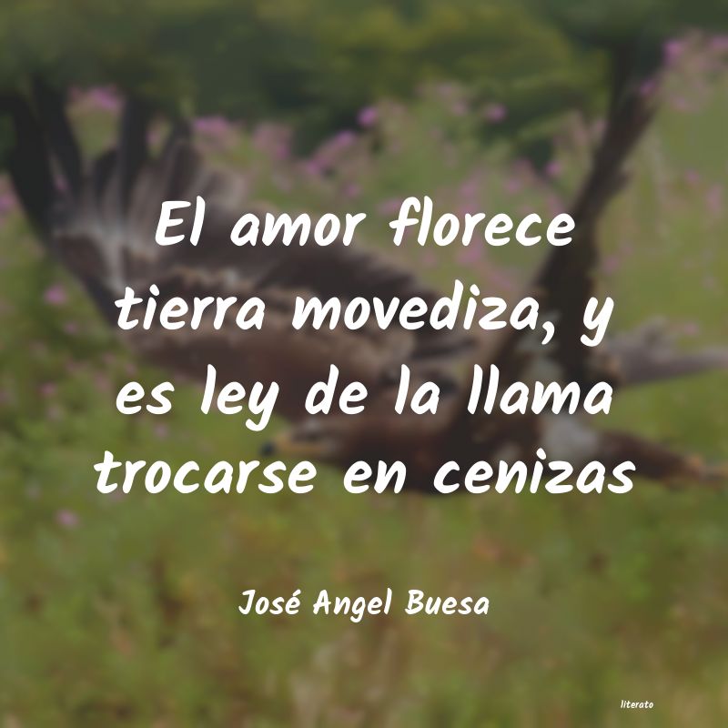 Frases de José Angel Buesa