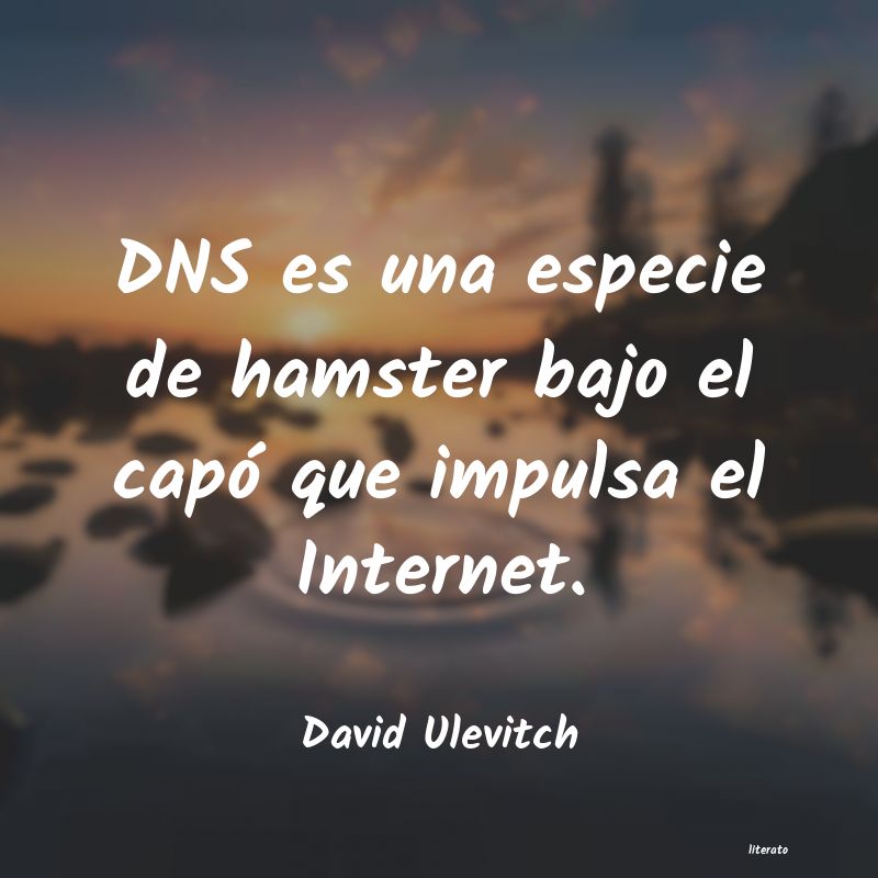 Frases de David Ulevitch