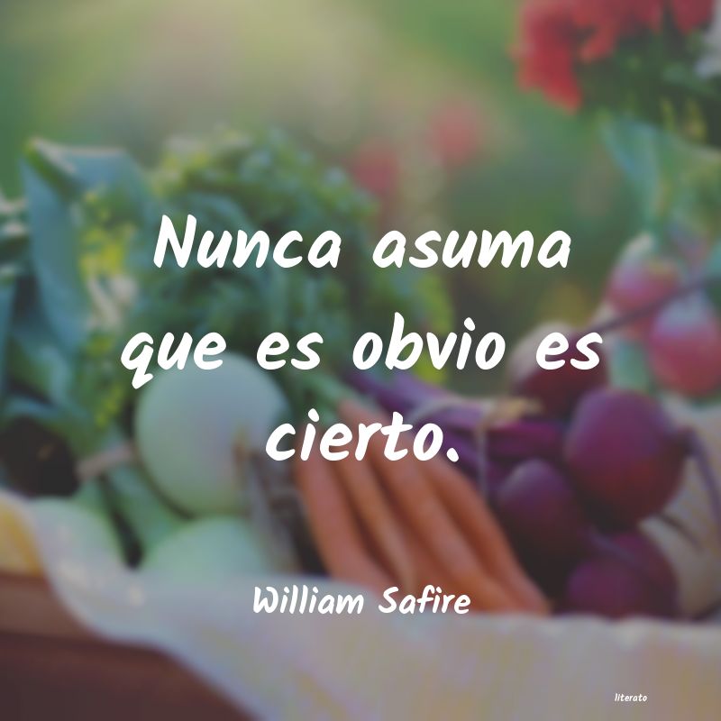 frases de William Safire