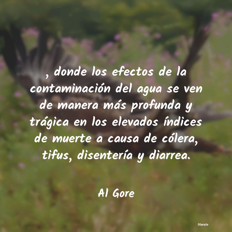 frases de Al Gore