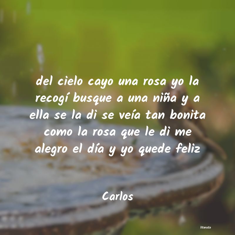 Frases de Carlos