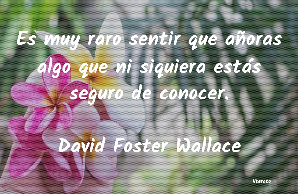 Frases de David Foster Wallace