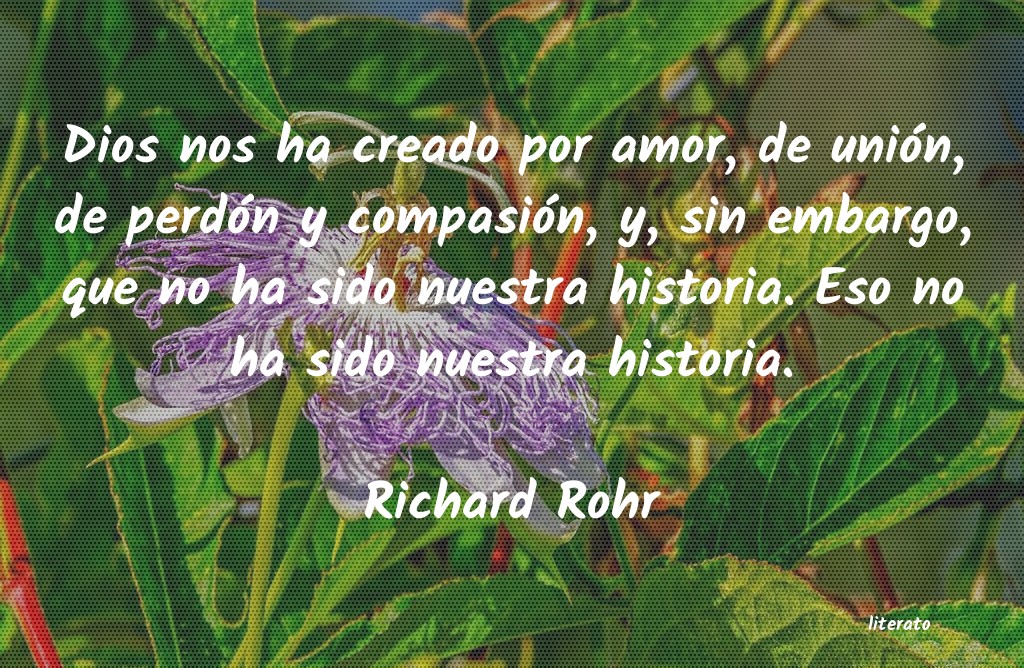 frases de Richard Rohr