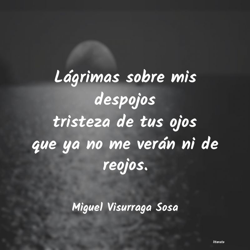 frases de Miguel Visurraga Sosa