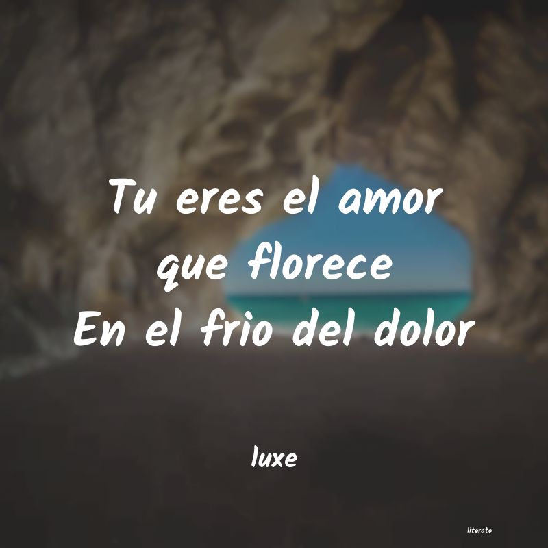 frases de luxe