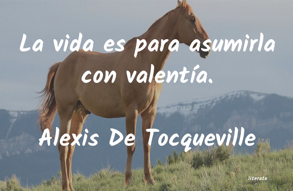 frases de Alexis De Tocqueville