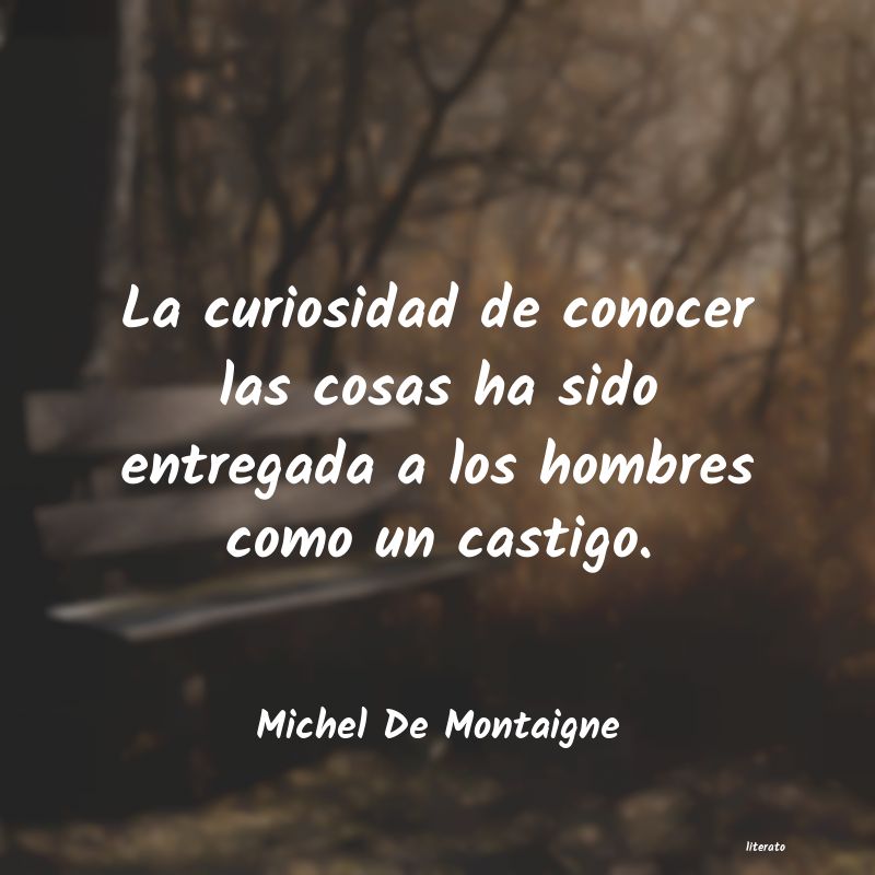 querer conocer
