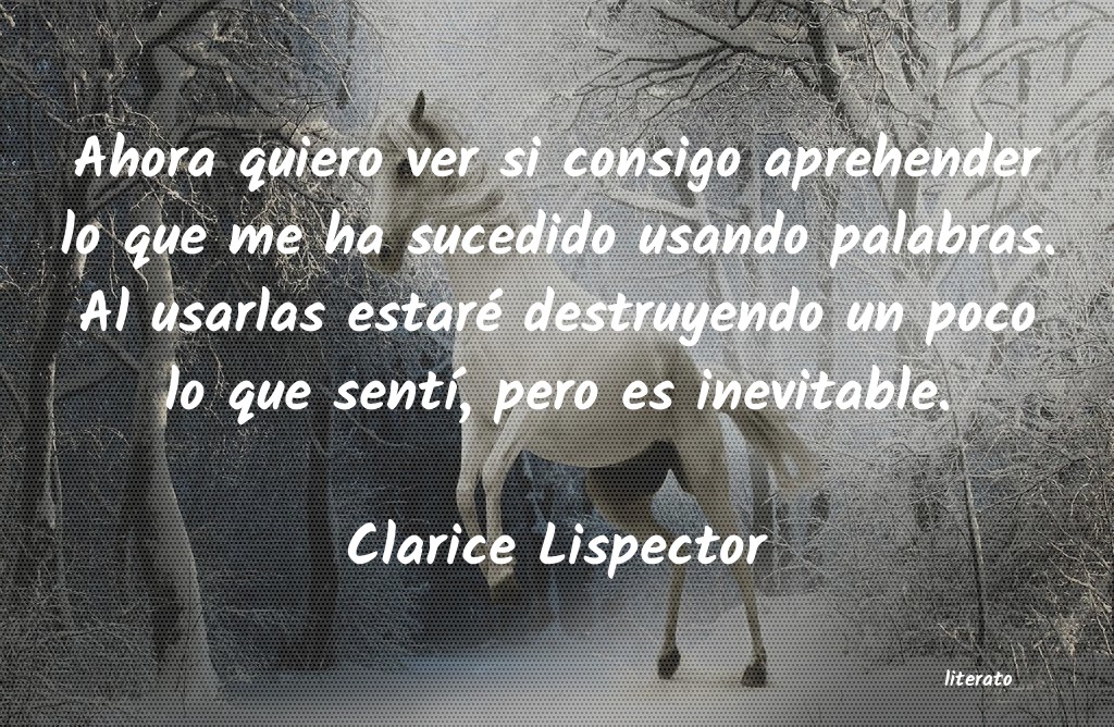 frases de Clarice Lispector