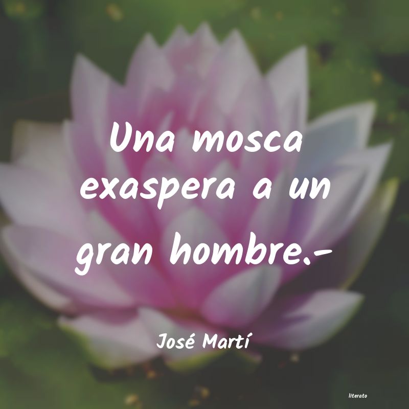 Frases de José Martí