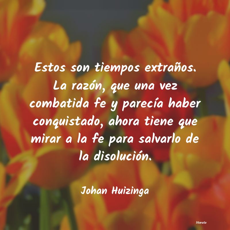 Frases de Johan Huizinga