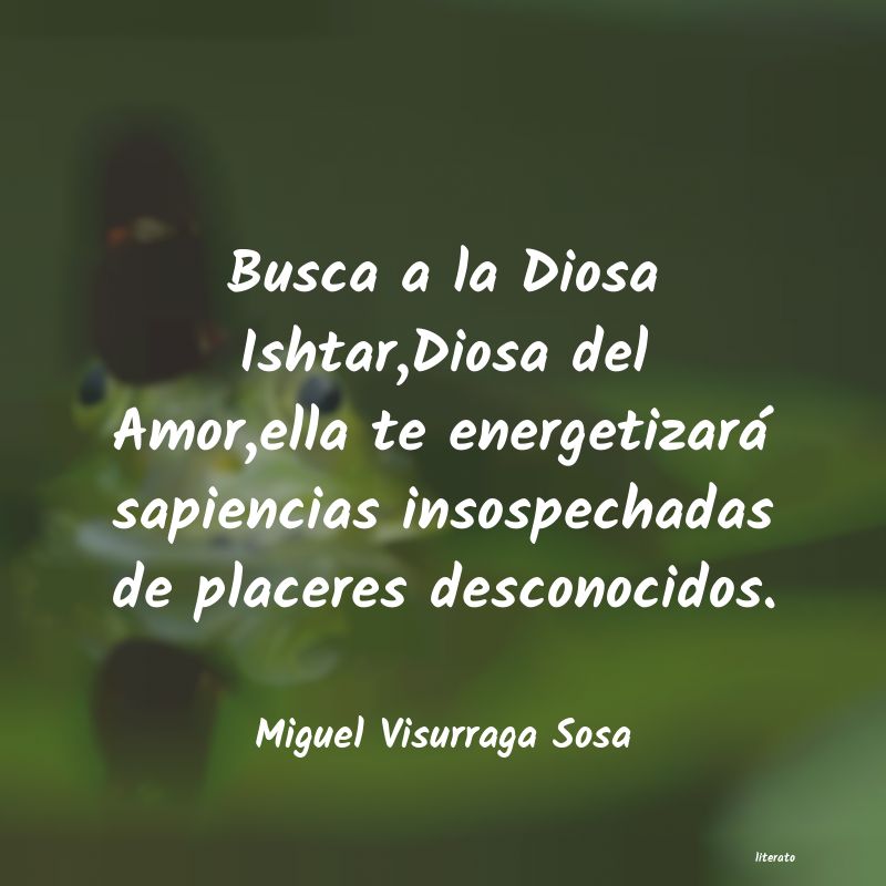 frases de Miguel Visurraga Sosa