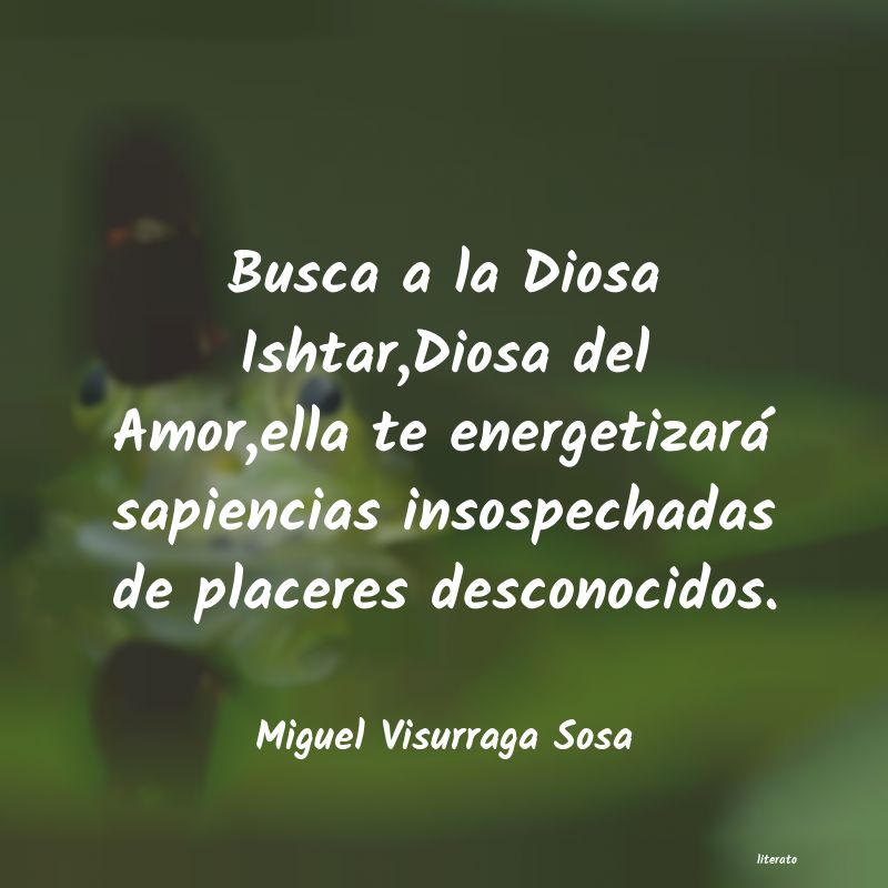 Frases de Miguel Visurraga Sosa