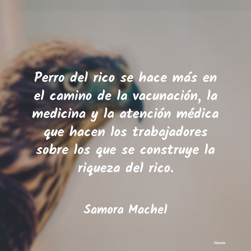 Frases de Samora Machel