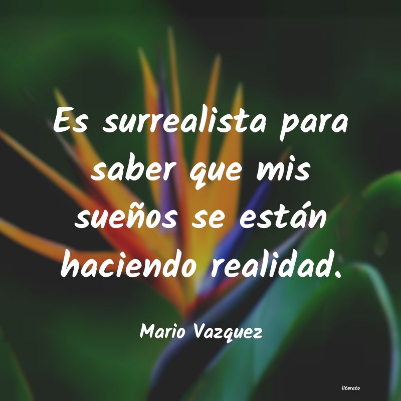 Frases de Mario Vazquez