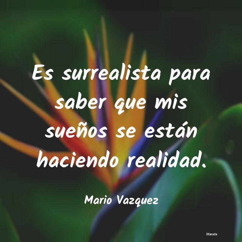 frases de Mario Vazquez
