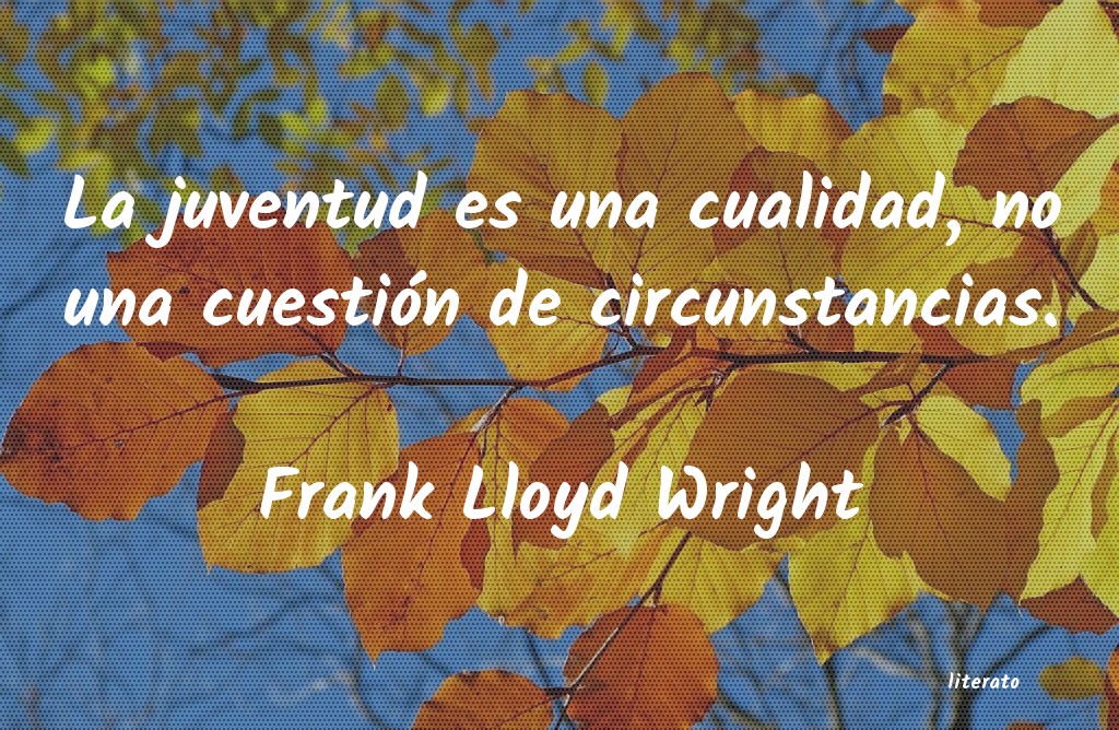 Frases de Frank Lloyd Wright