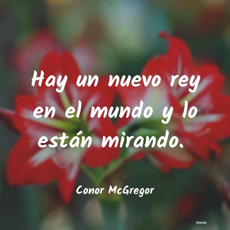 Frases de Conor McGregor