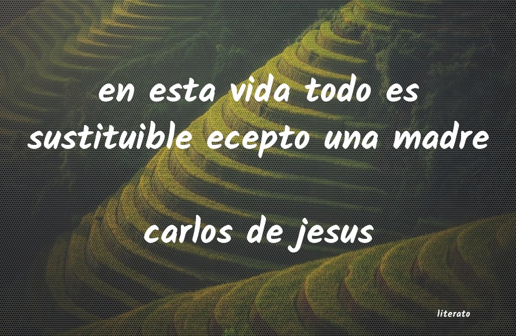 frases de carlos de jesus