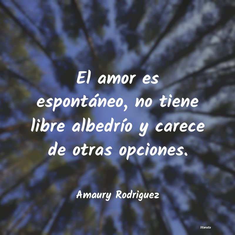 amaury rodriguez