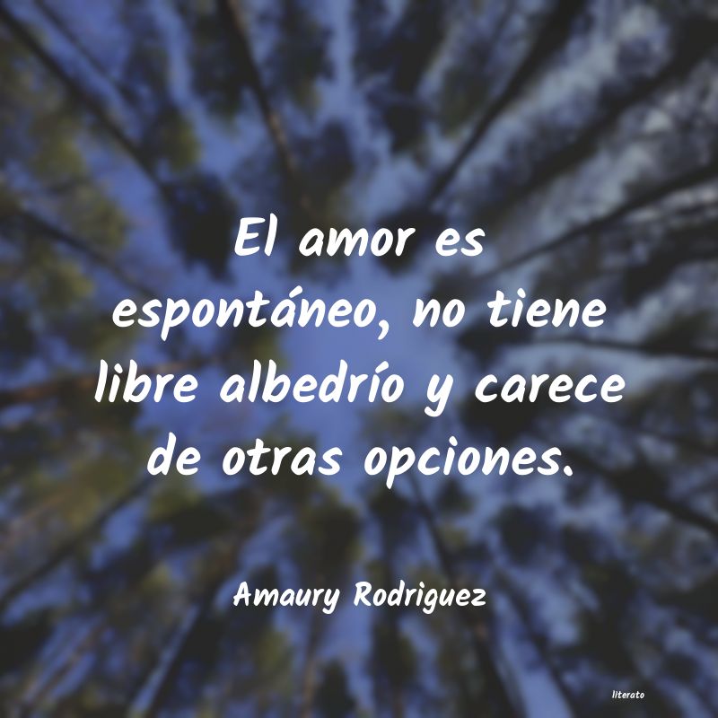 Frases de Amaury Rodriguez