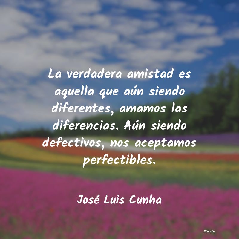 Frases de José Luis Cunha